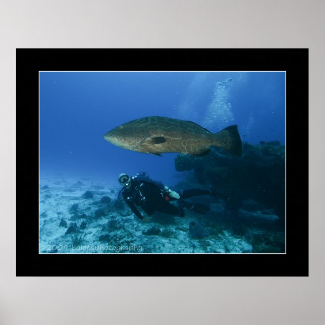 Poster Cozumel - Grouper e Dave (Frente)