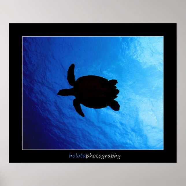 Poster Cozumel - Hawksbill nº 011 (Frente)