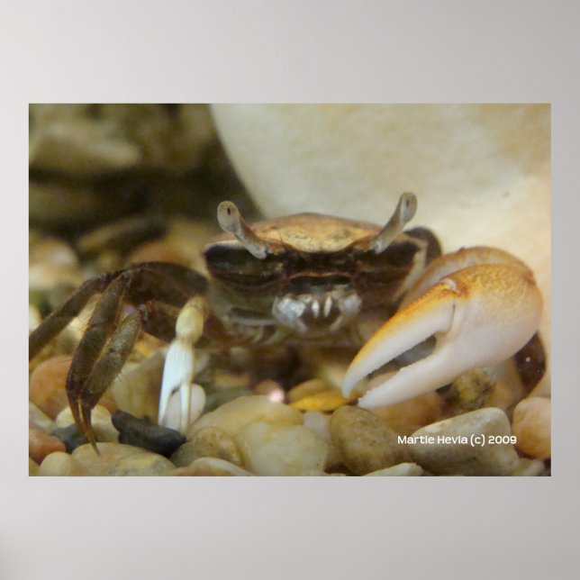 Póster Crab Louis (Frente)