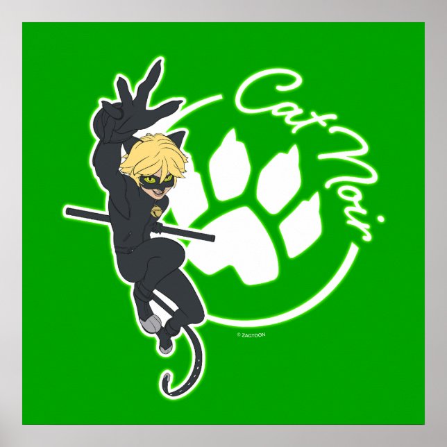Poster Crachá Cat Noir (Frente)