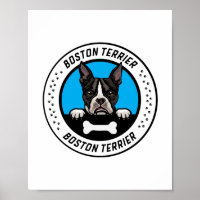 Crachá de Ilustração de Peeking de Boston Terrier