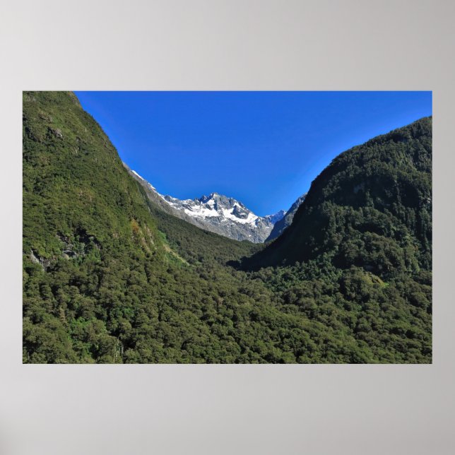 Poster Crag de pico (Frente)