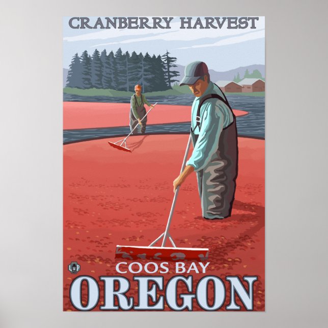Poster Cranberry Bogs Harvest - Baía de Coos, Oregon (Frente)