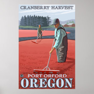 Póster Cranberry Bogs Harvest - Port Orford, Oregon
