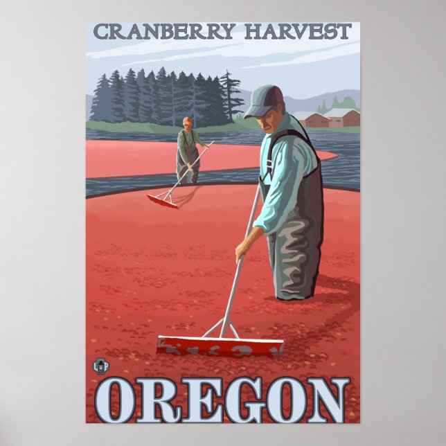 Póster Cranberry Bogs Harvest Viagens vintage (Frente)