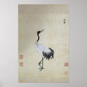 Poster Crane Branca Siberiana