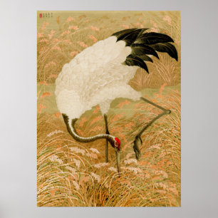Poster Crane no Campo do Arroz