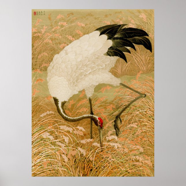 Poster Crane no Campo do Arroz (Frente)