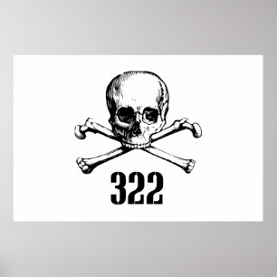 Póster Crânio e ossos 322