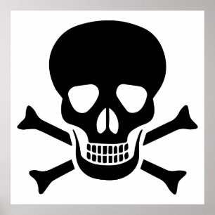 Poster Crânio humano