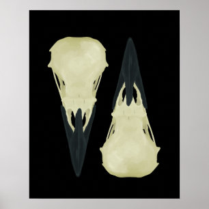 Poster Crânios do corvo