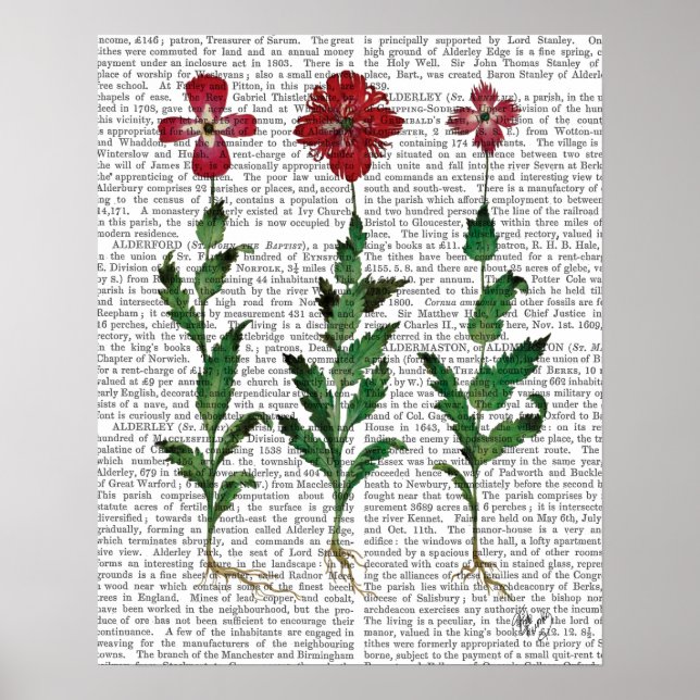 Poster Cravo 1 italiano (Frente)