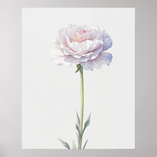 Poster Cravo de Janeiro da Flor do Nascimento