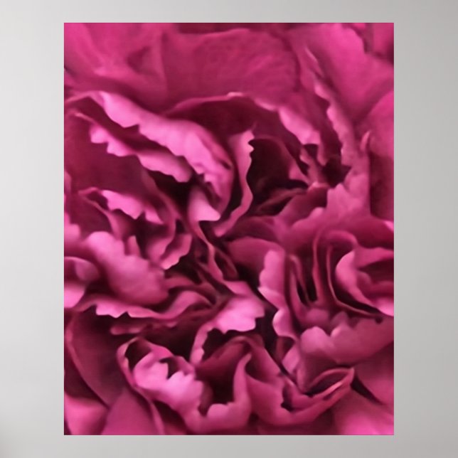 Poster Cravo Rosa (Frente)