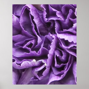 Poster Cravo Roxo