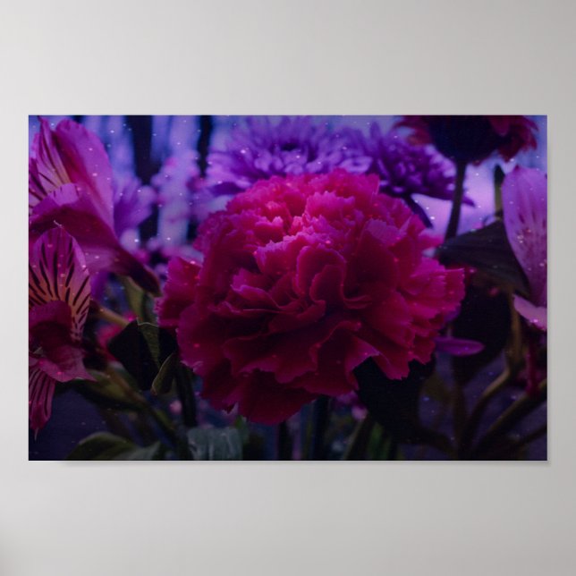 Poster Cravo Sparkly (Frente)