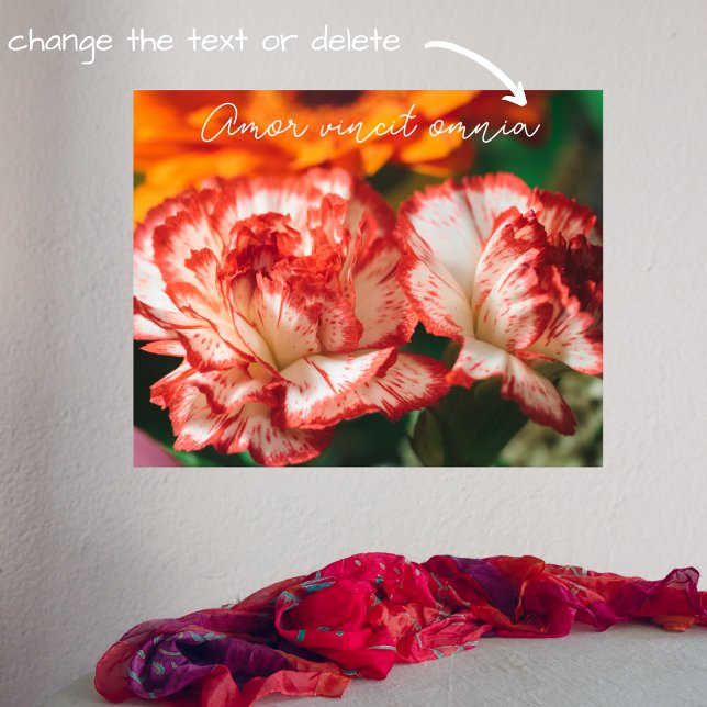 Poster Cravos e gerbera riscados (Criador carregado)