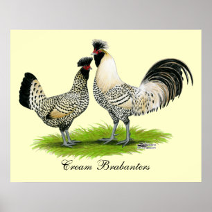 Póster Cream Brabanter Chickens