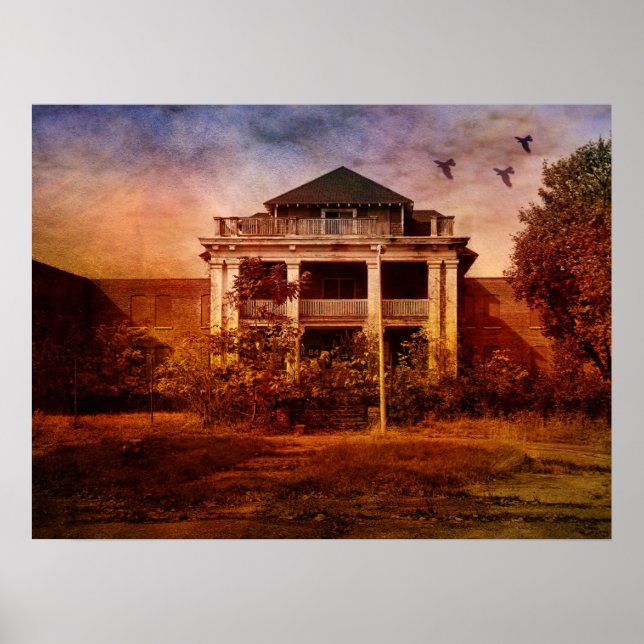 Póster Creative Madness - Asilo (Frente)