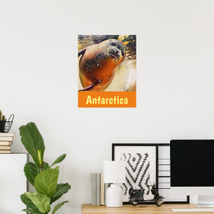 Poster Creative Wildlife Natando Seal Antártica Viagem