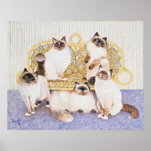 Póster Cremes de chocolate