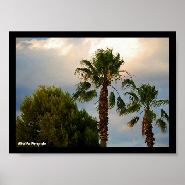 Poster Crepúsculo de Palma Tropical (Frente)