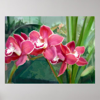 Poster Crescente do Cymbidium