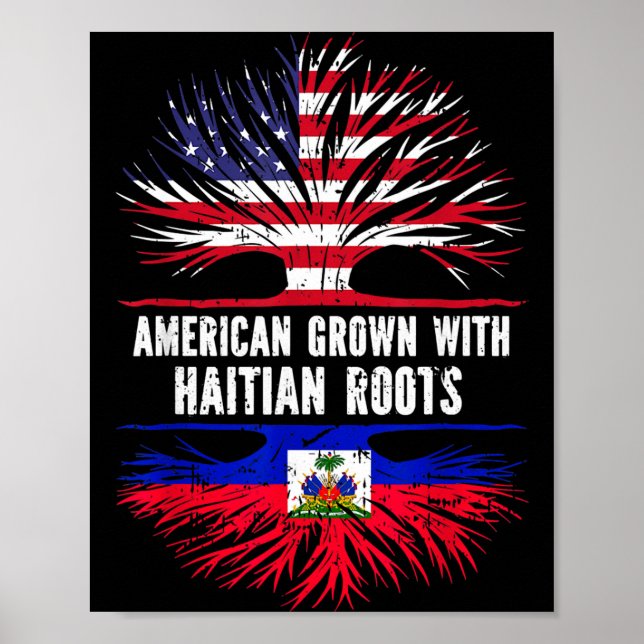 Poster Crescido Americano Com Raízes Haitianas Bandeira D (Frente)