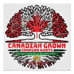Póster Crescido no Canadá, Raízes Iranianas – Leão e Sol