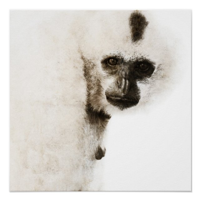 Póster Crested Gibbon #1 (Frente)