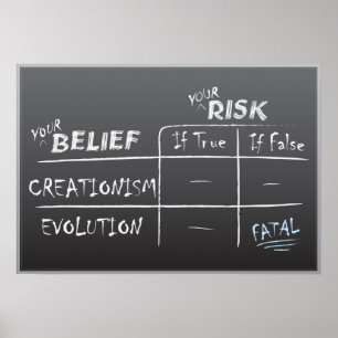 Póster Criação contra a evolução
