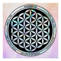 Criação Harmonia – Símbolo da Geometria Sagrada