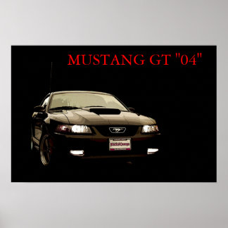 Póster Criado para Race