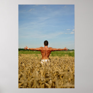 Poster Criador de Pormenores