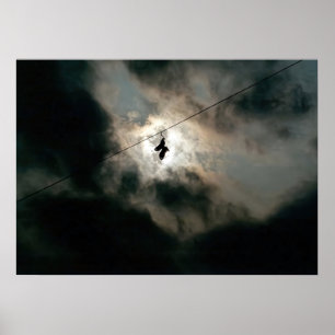 Poster Criadores de Deus