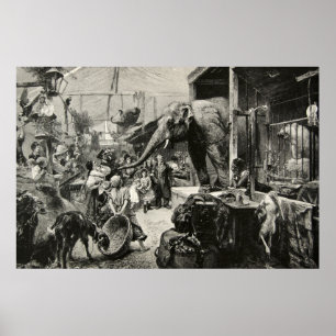 Poster Crianças animais da gravura do jardim zoológico 