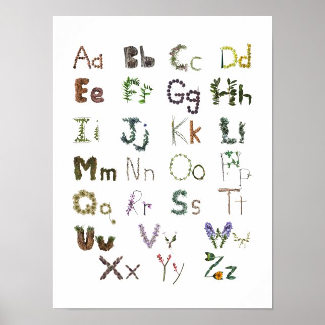 Poster Crianças do Woodland ABC Alphabet Children's Wall  (Frente)