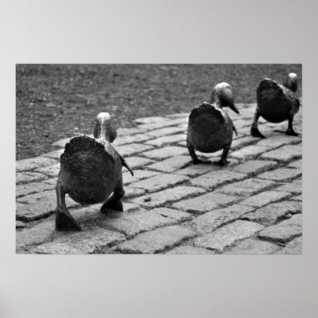 Póster Criar caminho para os Ducklings (Frente)