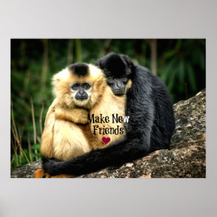 Poster "Criar Novos Amigos"