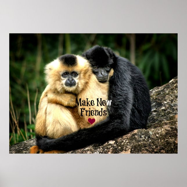 Poster "Criar Novos Amigos" (Frente)