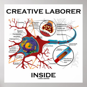 Poster Criative Laborer Dentro (Neuron / Synapse)