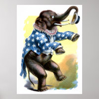 Criaturas Curiosas - Elefante