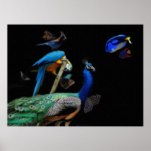 Poster Criaturas de brilho