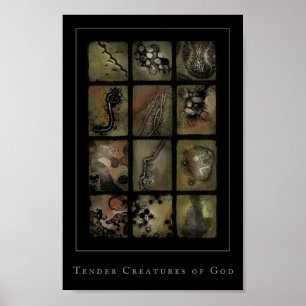 Póster criaturas macias do deus