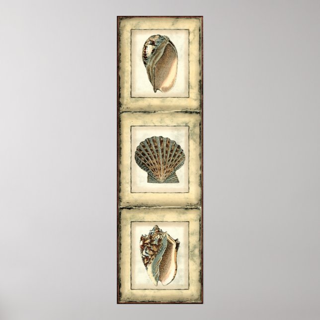 Póster Criaturas marinhas pela costa (Frente)