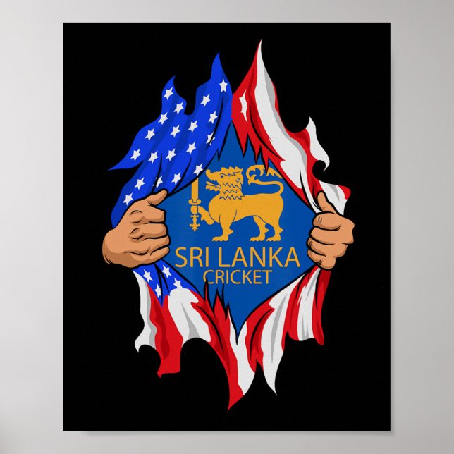 Poster Cricket do Sri Lanka Bandeira dos EUA Perfeito par (Frente)