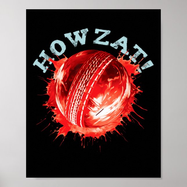 Poster Cricket Fans S Howzat! Cricket Ll S Distressed Eff (Frente)