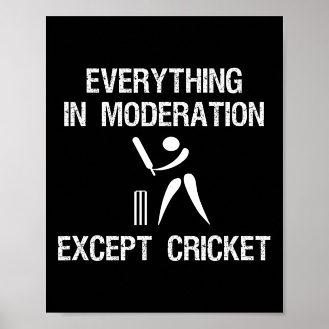 Poster Cricket Game - Funny Moderation - Player  (Frente)