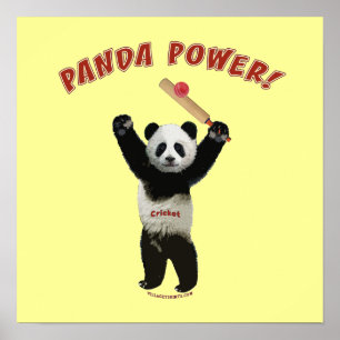 Póster Cricket Panda Power