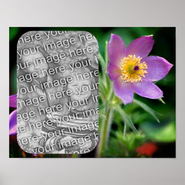 Poster Crie a sua própria imagem de flower Pasque (Frente)